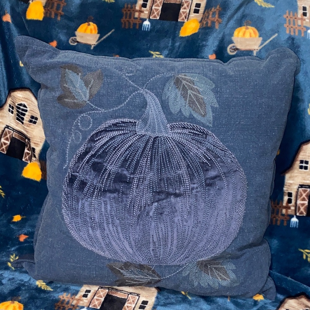 EUC HEARTH & HAND Denim Fall Velvety Pumpkin VTG Wash Decorative Pillow